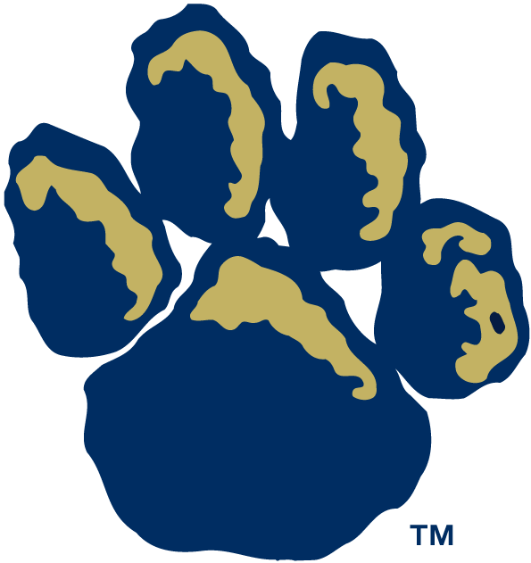 Pittsburgh Panthers 1997-Pres Alternate Logo v2 iron on transfers for clothing